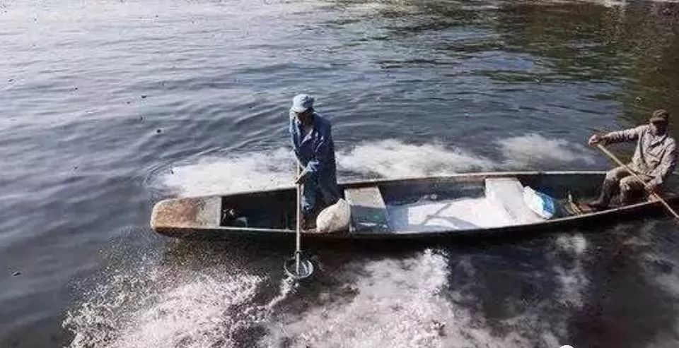 生石灰在水产养殖中怎样使用,生石灰在水产养殖中使用禁忌