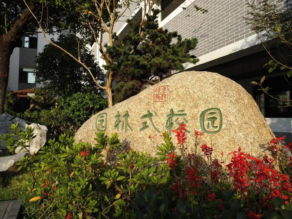 最美的风景美丽的校园,最美的风景就是校园