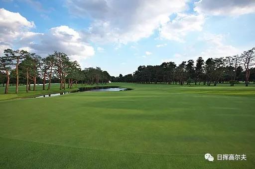 绅士运动有哪些,打高尔夫球基础知识