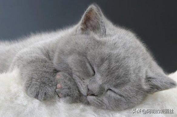 淘宝店首页装修教程,淘宝装修自定义页面怎么设置的