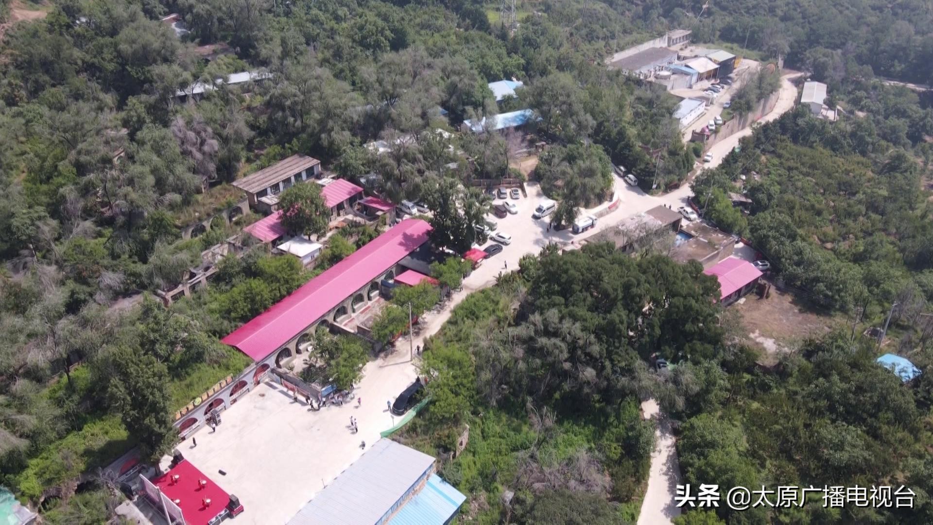 乡村振兴!太原要子庄村“绿”土地长出“金娃娃”