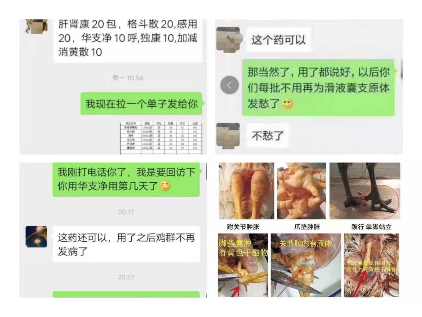 鸡病的防治用什么药,鸡病防治和解决方法