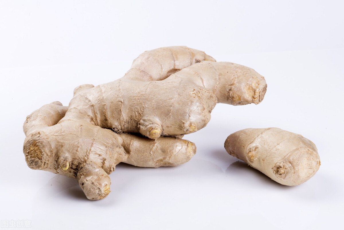 施华蔻防脱发头皮调理精华液,施华蔻生姜洗发水舒缓头皮