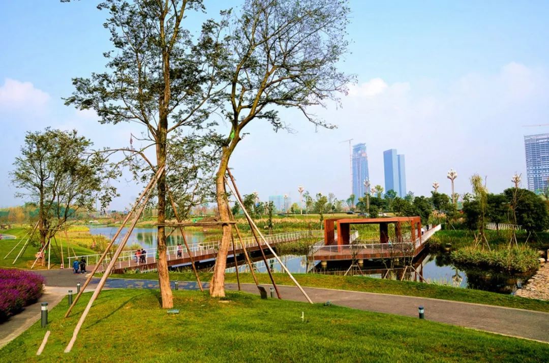 成都新增2个公园,成都到处都是公园城市