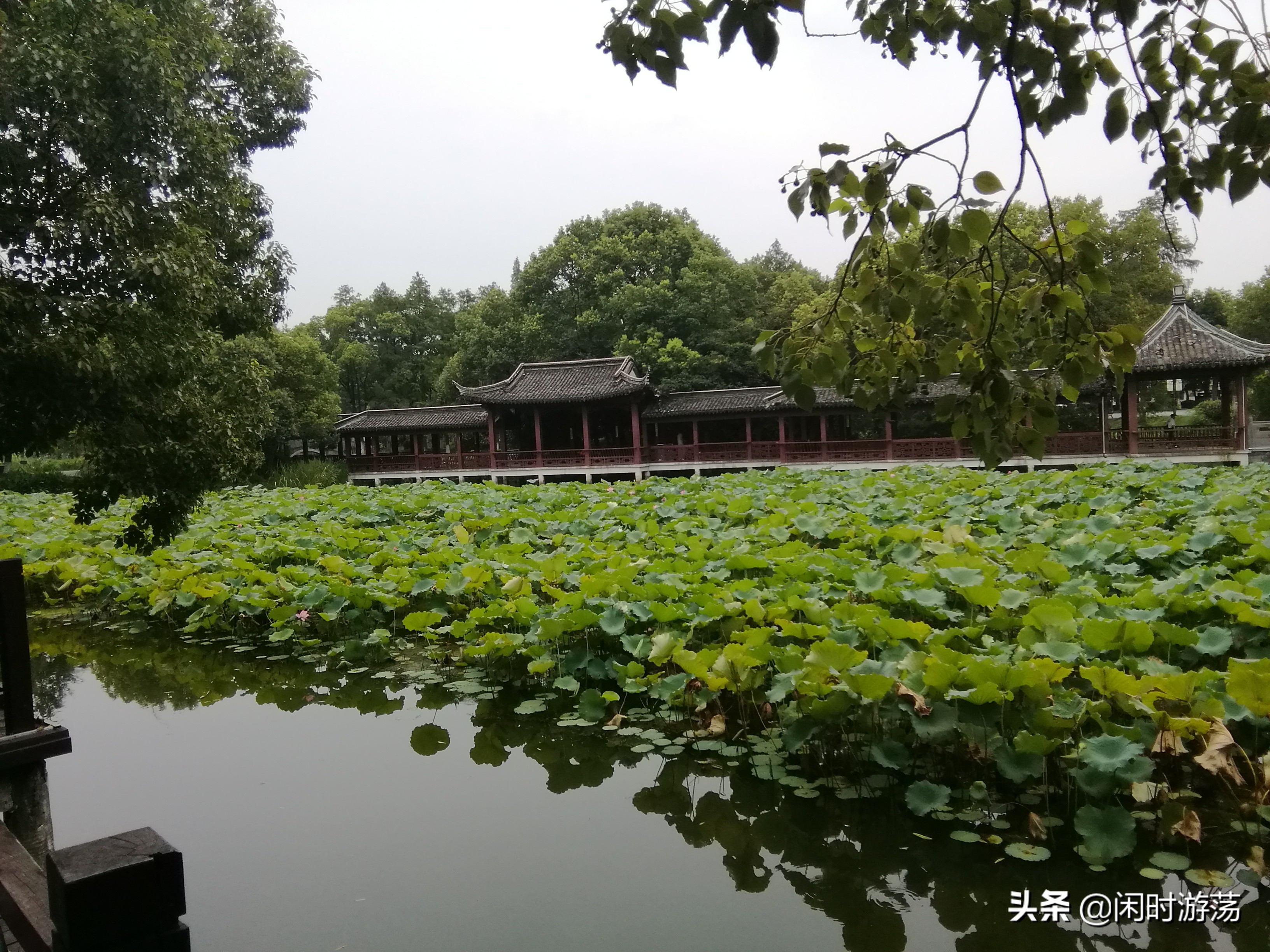 高淳老街杨厅,南京金陵小区到高淳老街怎么坐