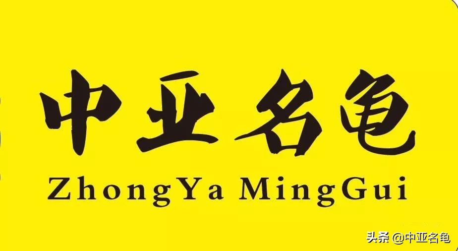 秋天乌龟怕冷怎么办,乌龟出现黄斑怎么办