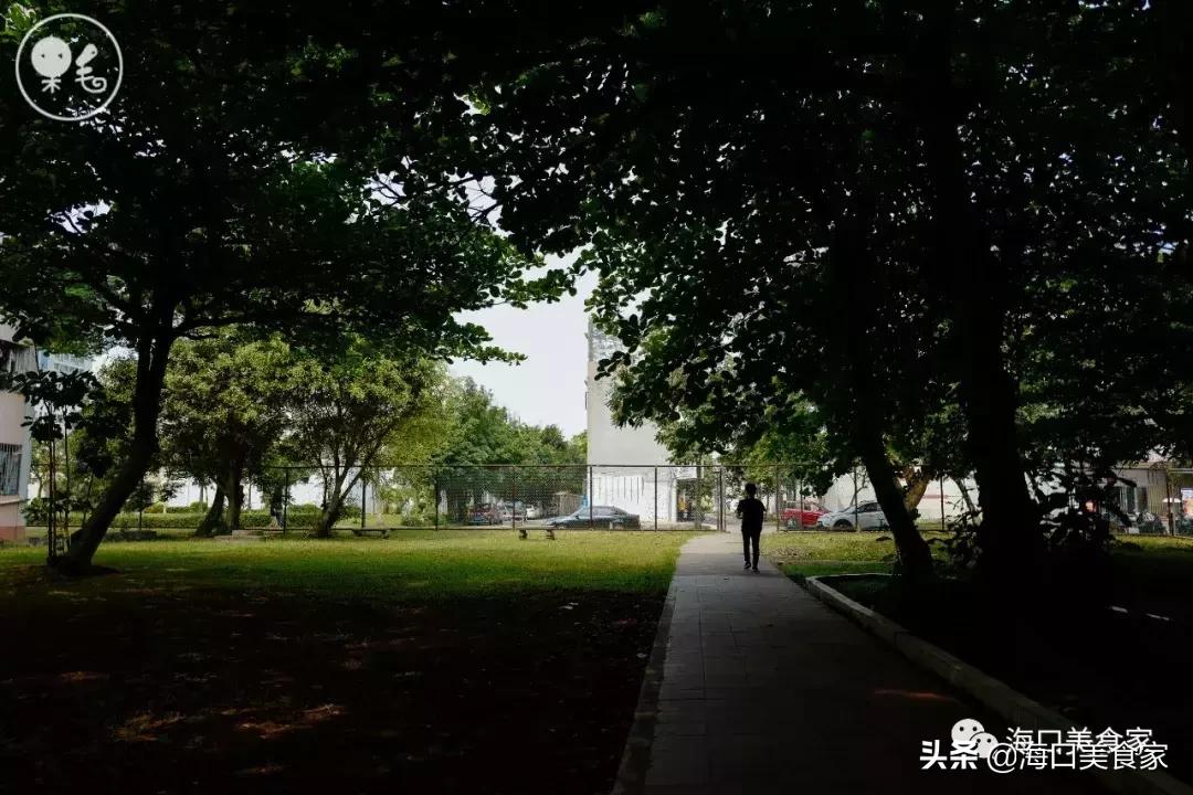 死心吧日语,死心吧