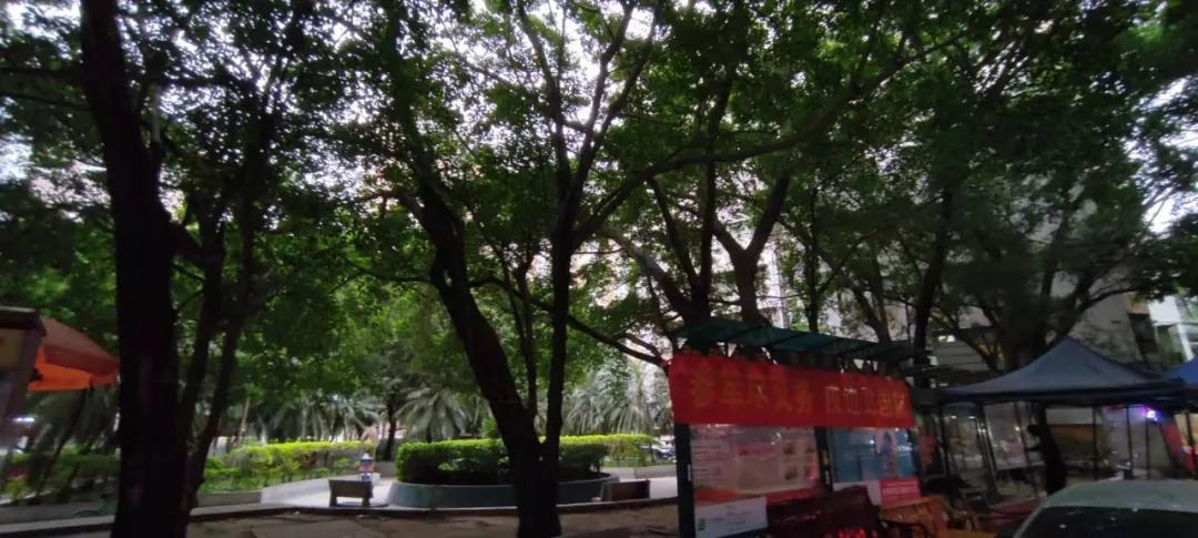 东晓南板块怎么样,东晓南地铁上盖楼盘