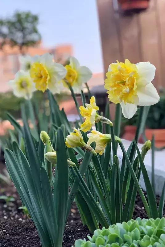 最有质感的家欢迎借鉴,打造浪漫有格调的家