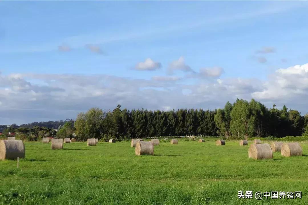 2021四川家庭农场补贴标准一览表,2022年家庭农场都有什么补贴政策