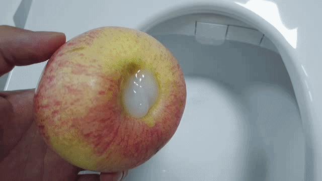 十种家用小电器好物推荐,家用小电器好物推荐横评