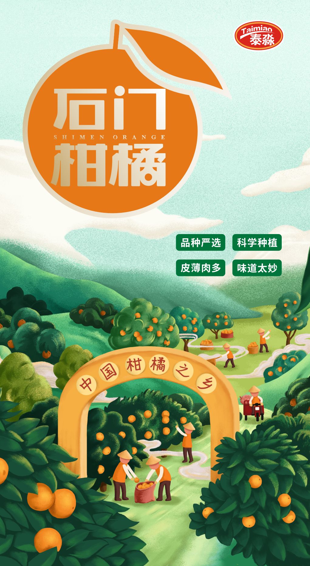 石门柑橘味道好极了你们想吃吗,石门柑橘为什么是柑橘之乡