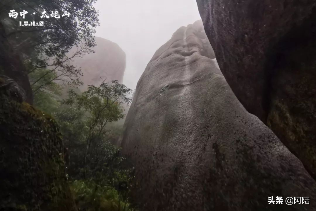 海上仙都太姥山阅读,福鼎太姥山5a景区海上仙都