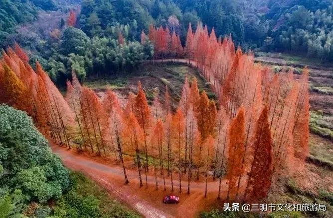 我在莆田挺好的,我在淮安挺好的