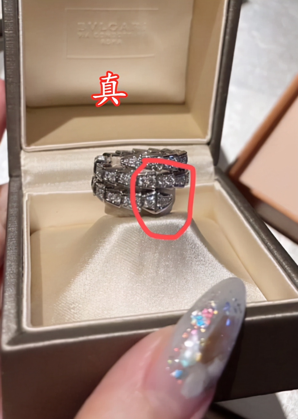 小猪先生兜儿婚戒,小猪兜儿夫妇领证了吗