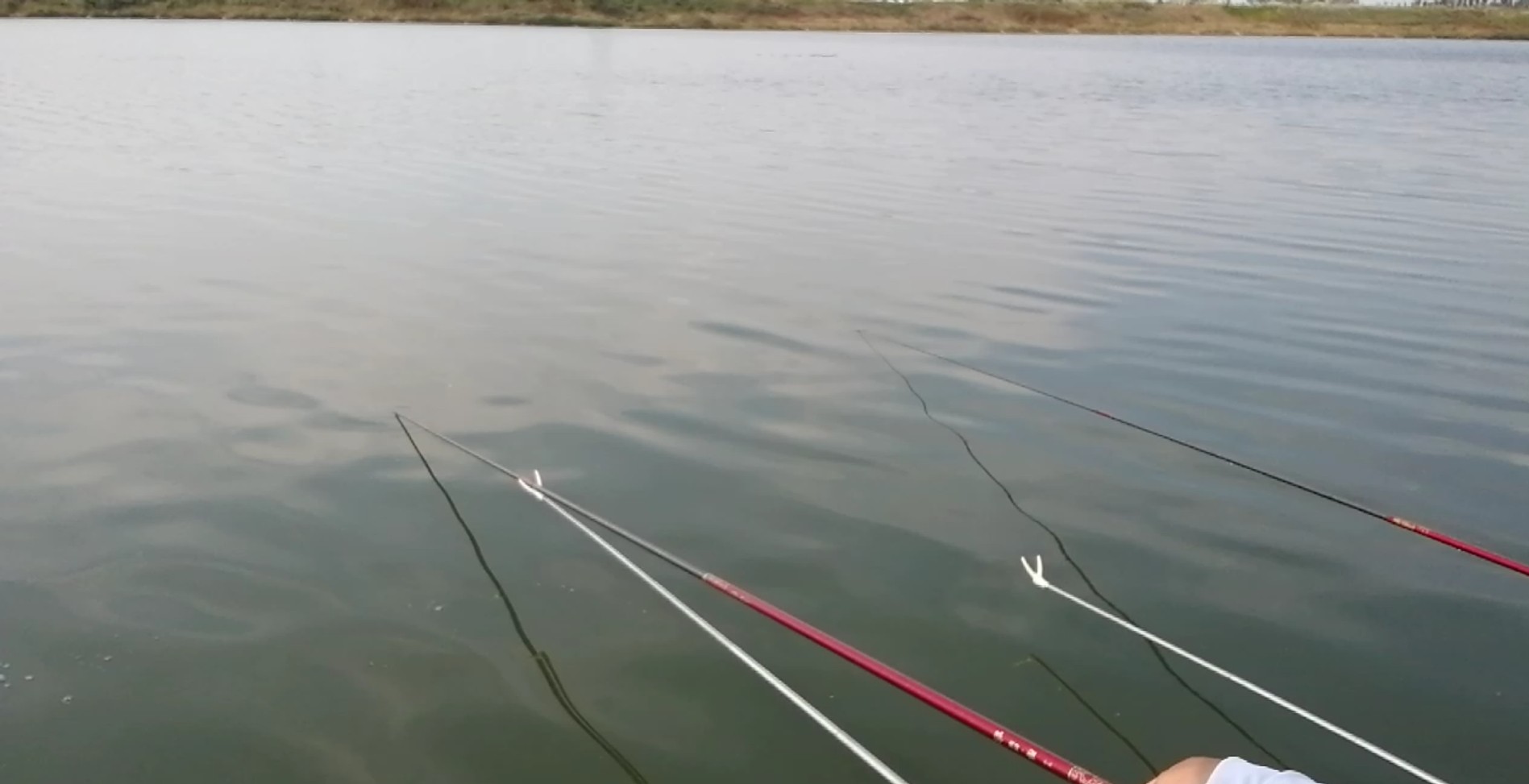 钓竿原则,钓竿选购