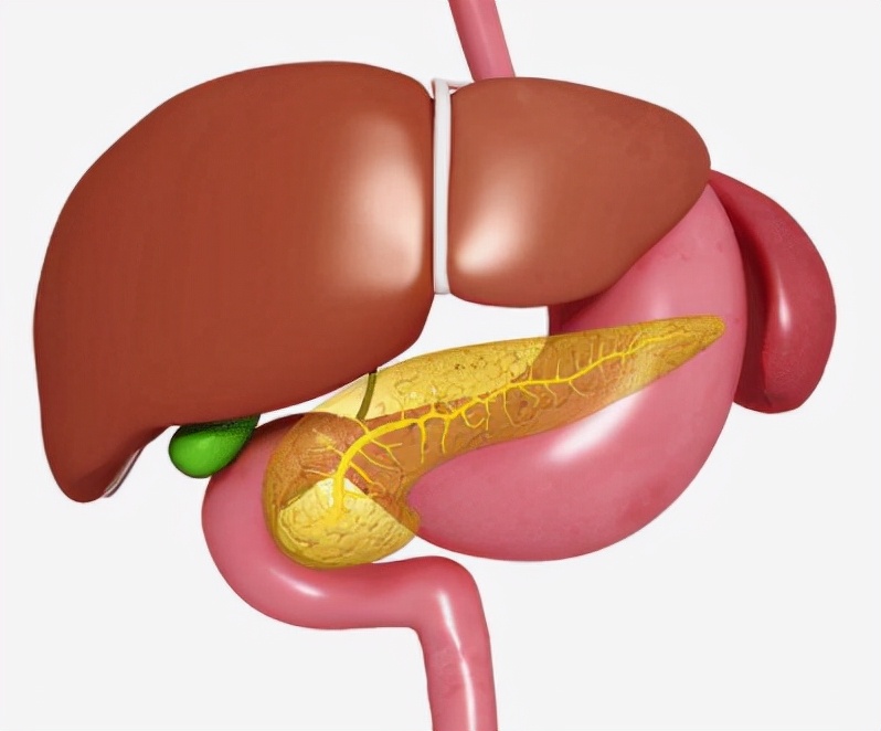 吃多了花生如何解酒,喝酒吃花生米会醉得更快么