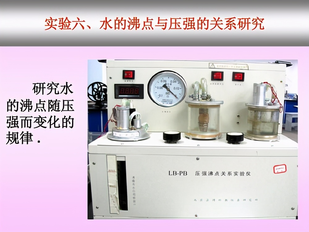 海底虾450度高温叫什么名字,100度水煮不死的虾