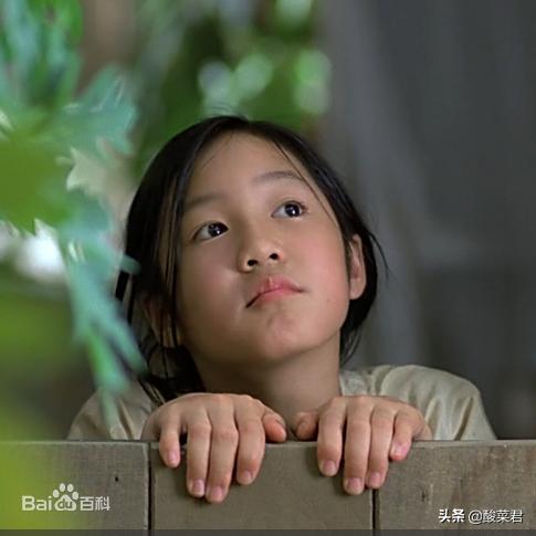 青木瓜之味越南完整,青木瓜之味原版