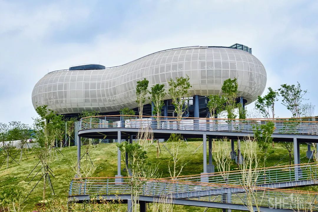 龙华新公园在哪里,深圳龙华区免费的公园