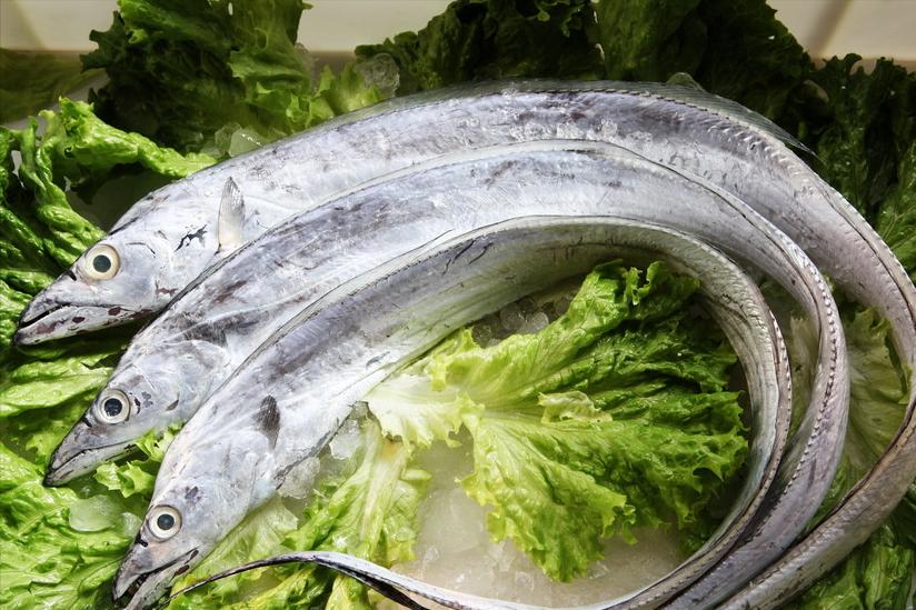 买带鱼黄眼睛和黑眼睛哪个好,买带鱼黄眼睛的好还是黑眼睛的好