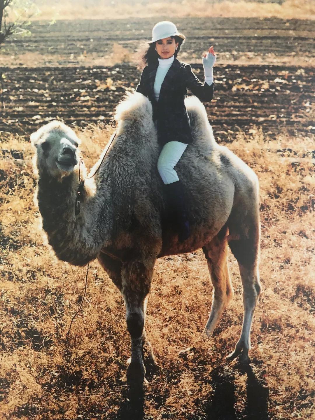 北京最好的挂历店,北京京城最后的挂历