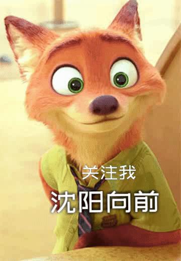 沈阳市内几个区发展排名,沈阳各个板块发展