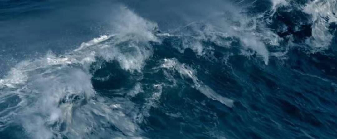 是你们说的全程高潮,但结局我想骂街