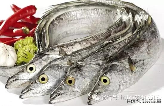 常见的海鲜哪些好吃,比较有营养价值的海鲜