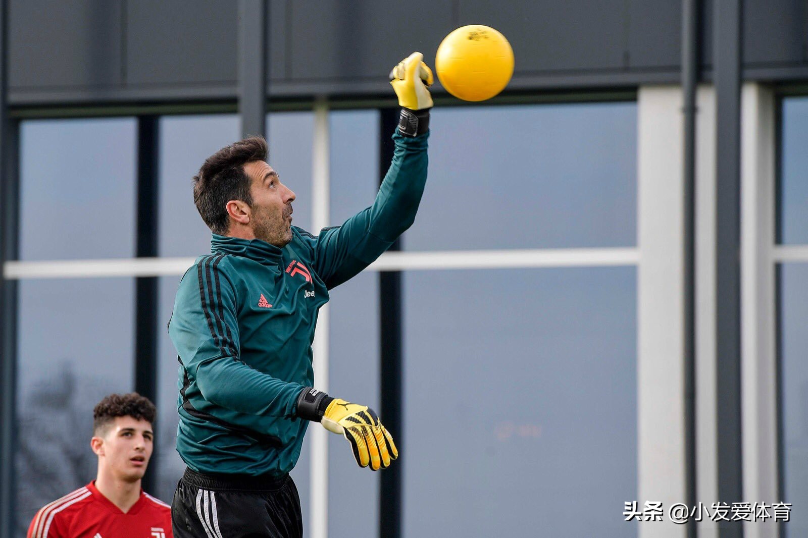 布冯传奇生涯配得上一座欧冠奖杯,布冯续约