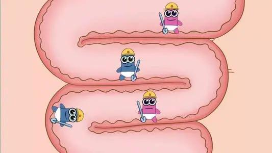 这几种液态的益生菌作用好，但不能多吃，你可能也吃过！