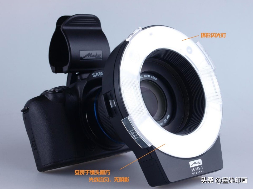 微距拍摄技巧与方法,如何拍摄清晰锐利的微距照片呢