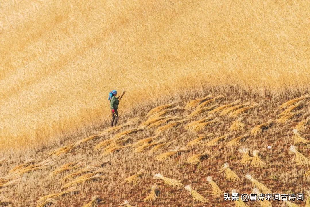 风吹麦浪李健,风吹麦浪孙俪李健