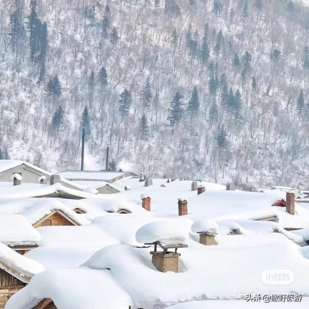 哈尔滨中央大街美食攻略,哈尔滨旅游攻略美食24小时营业
