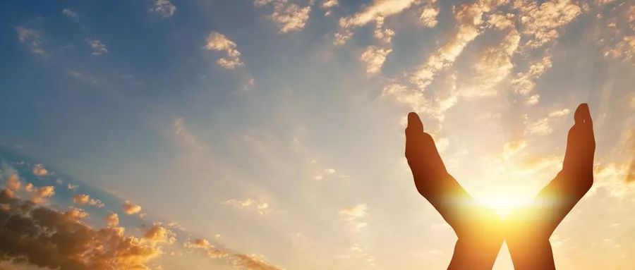 阳气生发的脏腑,怎么生发脾肾的阳气