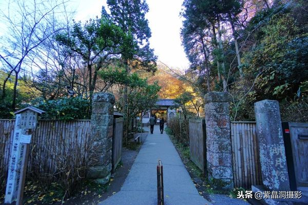 700年历史的日本小寺,为了看秋叶要买两次票,一次比一次贵