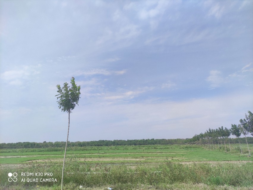 寿北大草原,我们来啦!---探访飞燕草坪寿光双王城基地