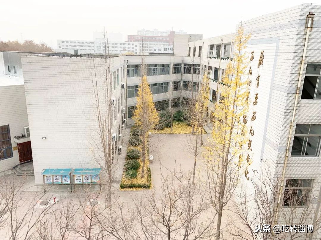 淄博第一所中学,淄博实验中学排名榜