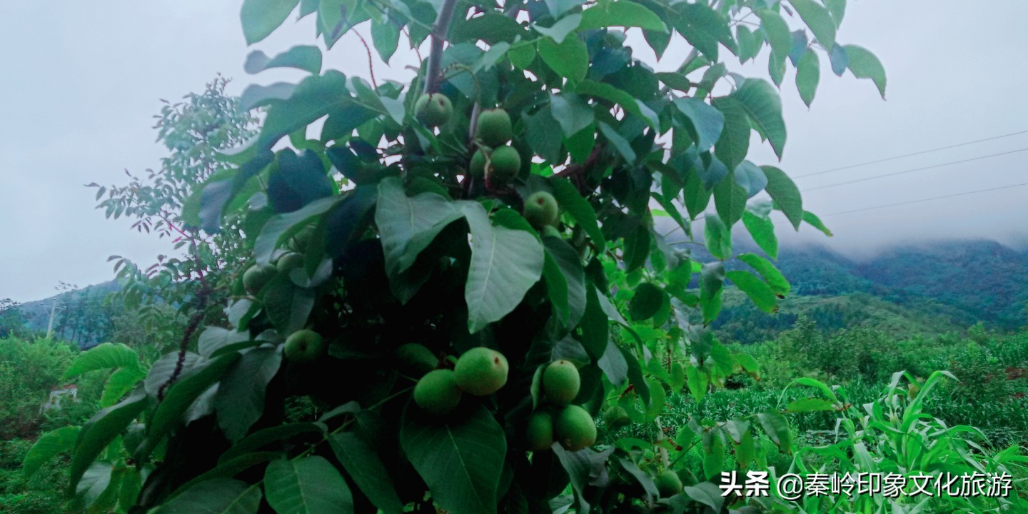 沁源赋作品欣赏,沁源赋文学总结