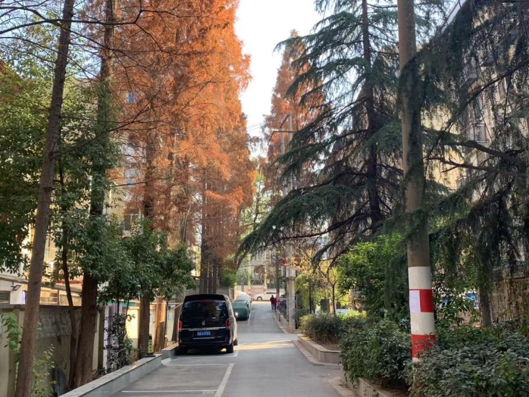 最新楼盘学区房,四年前的热销红盘学区房终于交付