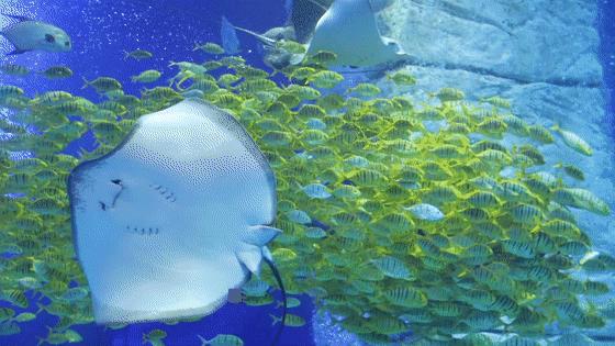 开启非凡住宿万豪旅享家,万豪旅享家邂逅城市五星级酒店