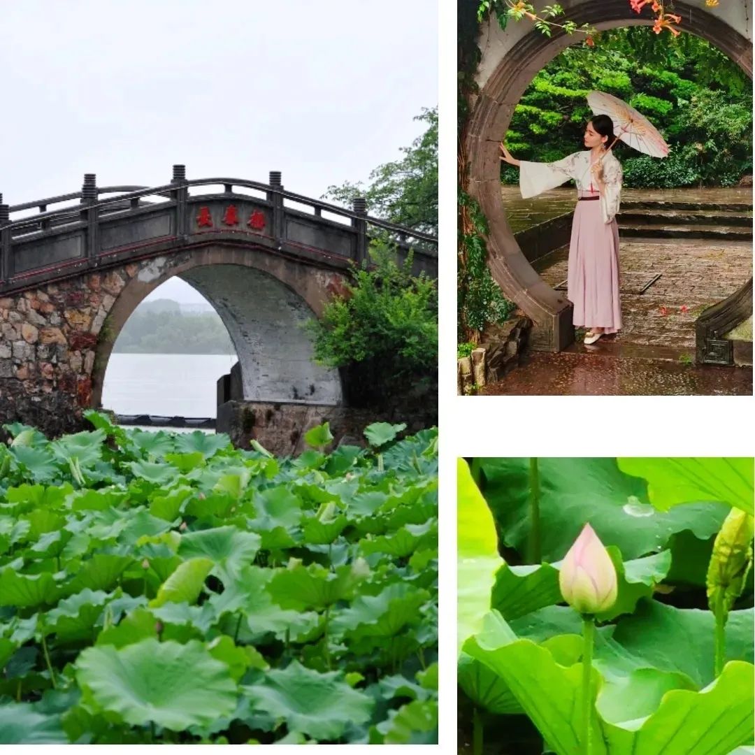 七月份的无锡,七八月份无锡旅游推荐