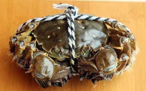 吃不完的螃蟹不要直接放冰箱,吃不完的螃蟹可以放冰箱保鲜吗