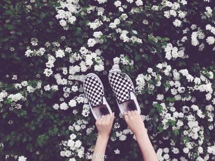 除了匡威，你还有很多选择