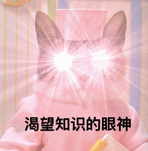 发电用不完的电都去哪了,综合能源小常识