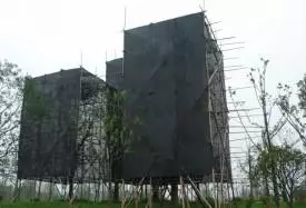 大树移植恢复要几年,大树移植根部的处理