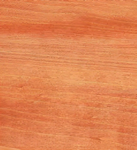 国外进口木材有哪些,进口木材种类名称大全图片及价格