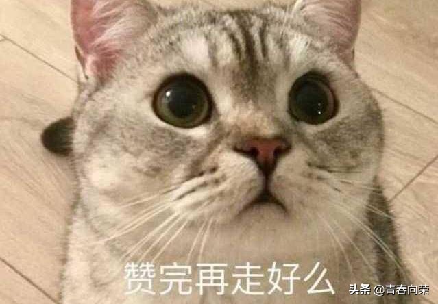 一般家用电脑显示器怎样选购,初学者如何选择电脑显示器