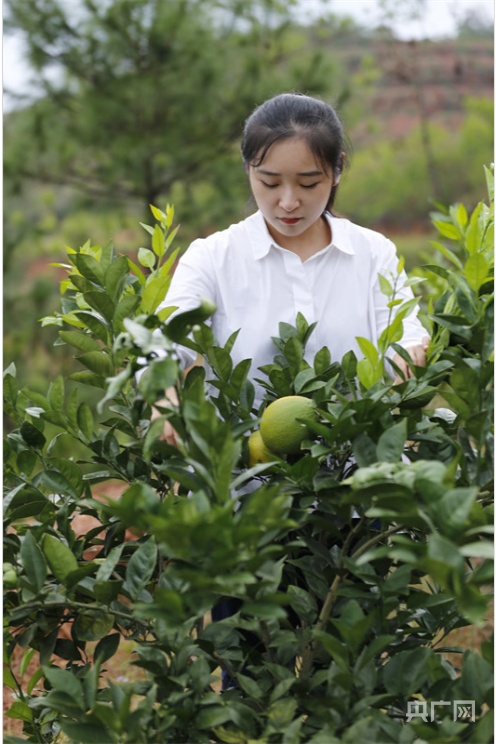 长征路上新青年丨创业英雄“瑶姑娘”：广阔农村大有可为做新时代“三农”青年