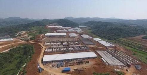 母猪产仔过多要怎样养活,提高母猪产仔成活率论文